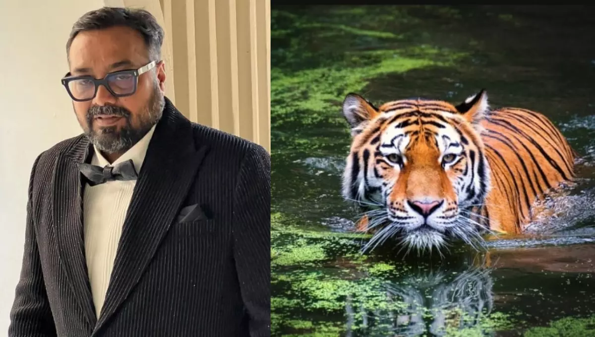 Anurag Kashyap: "Tigers should have the highest priority because they are essential to keeping an ecosystem in balance."